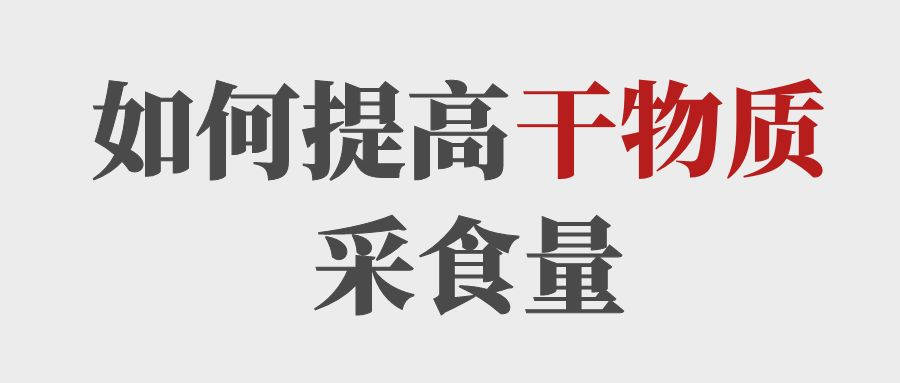 做到這5點提高育肥牛的干物質(zhì)采食量！